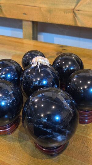 モリオンボール入荷2026年3/28